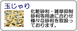 �ʂ����