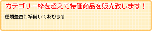 �A�E�g���b�g�E�������i